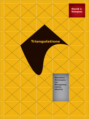 cover image of Triangulations